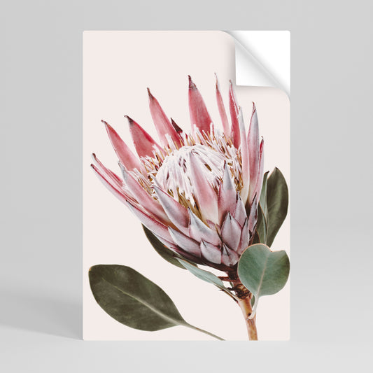 PROTEA BLOMMA, vertikal poster med självhäftande motiv
