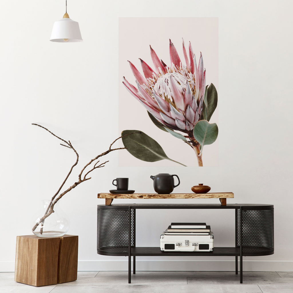 PROTEA BLOMMA, vertikal poster med självhäftande motiv