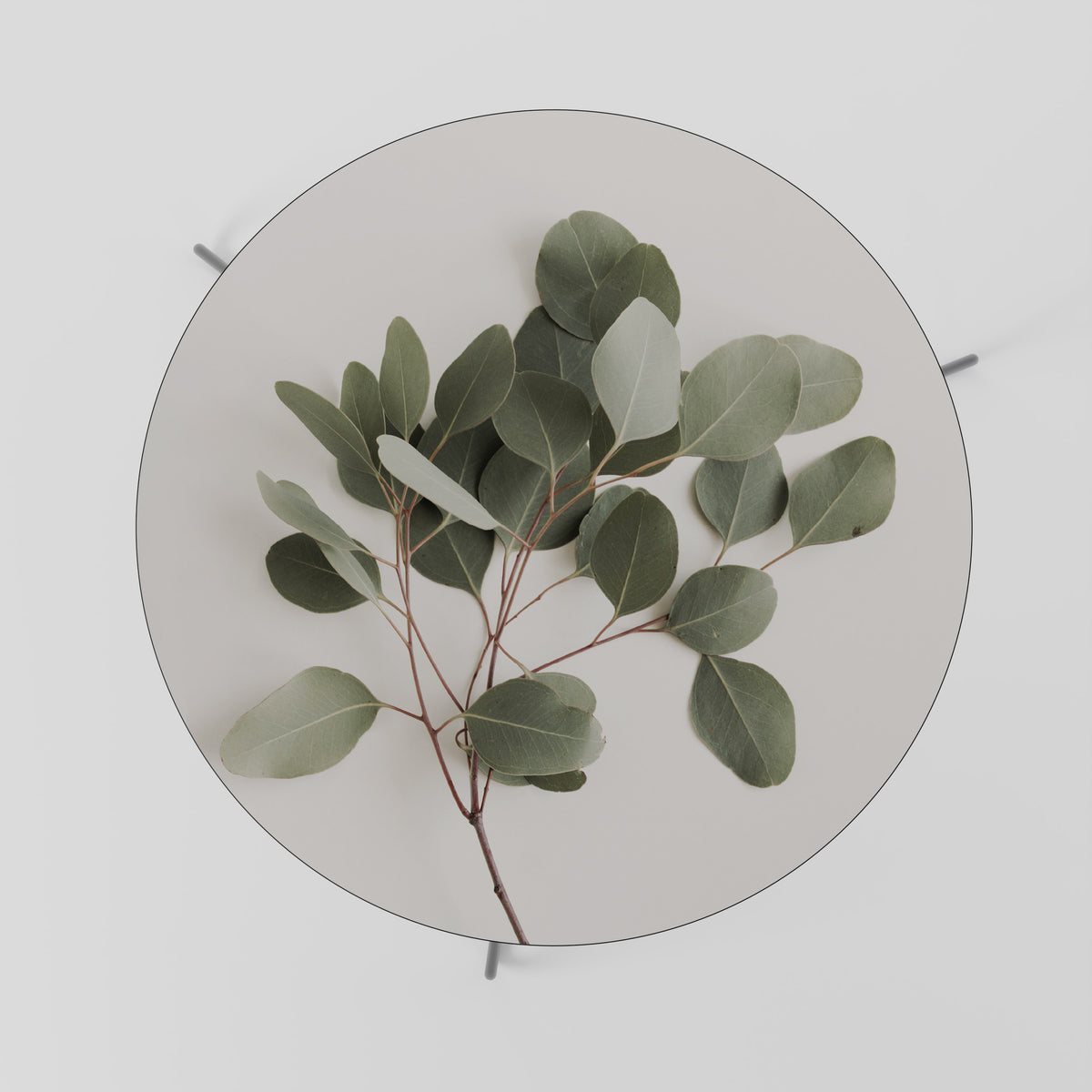 EUCALYPTUS BRANCH Soffbord
