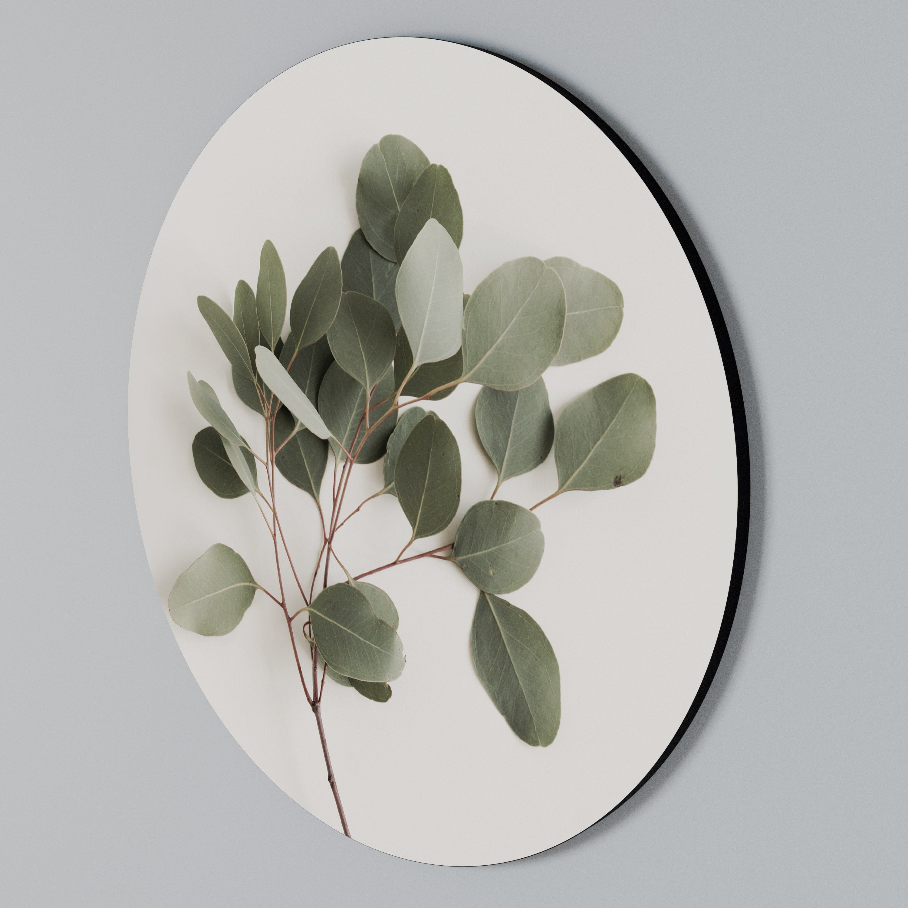 EUCALYPTUS BRANCH Rund väggdekor