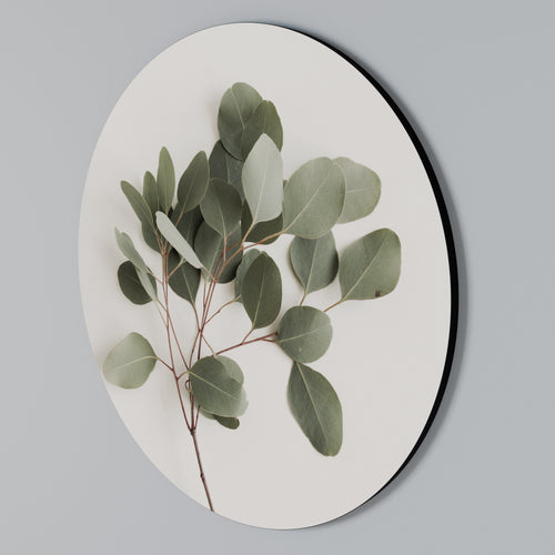 EUCALYPTUS BRANCH Rund väggdekor
