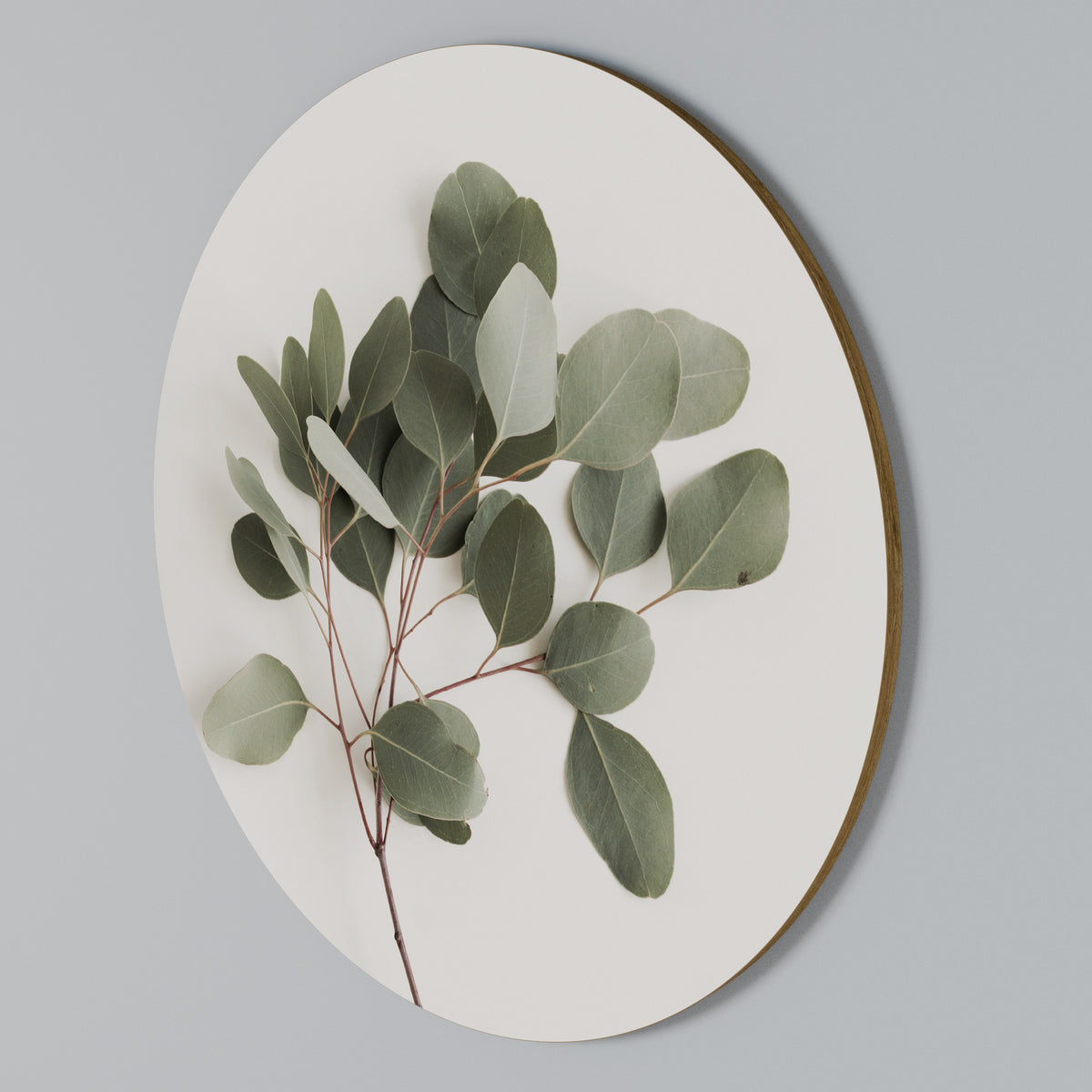 EUCALYPTUS BRANCH Rund väggdekor