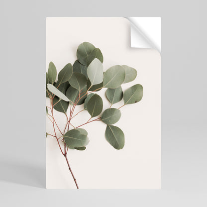 Eukalyptusgren, vertikal poster med självhäftande text