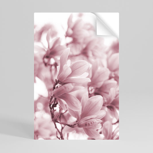 ROSA BLOSSOM DREAM vertikal poster med självhäftande text