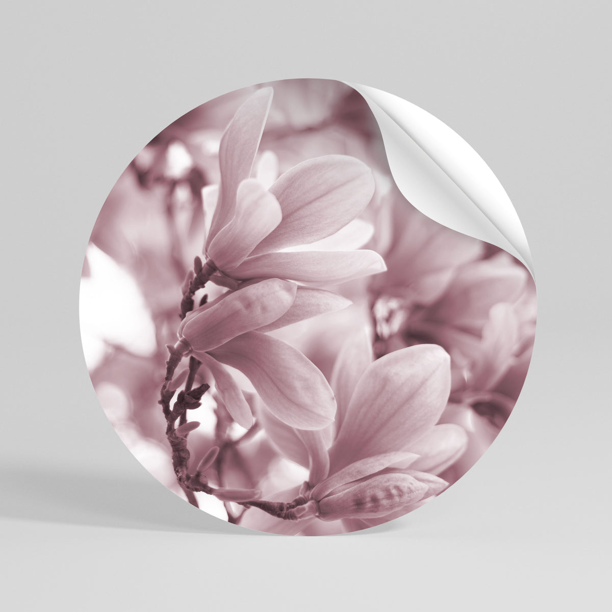 PINK BLOSSOM DREAM Rund väggdekal
