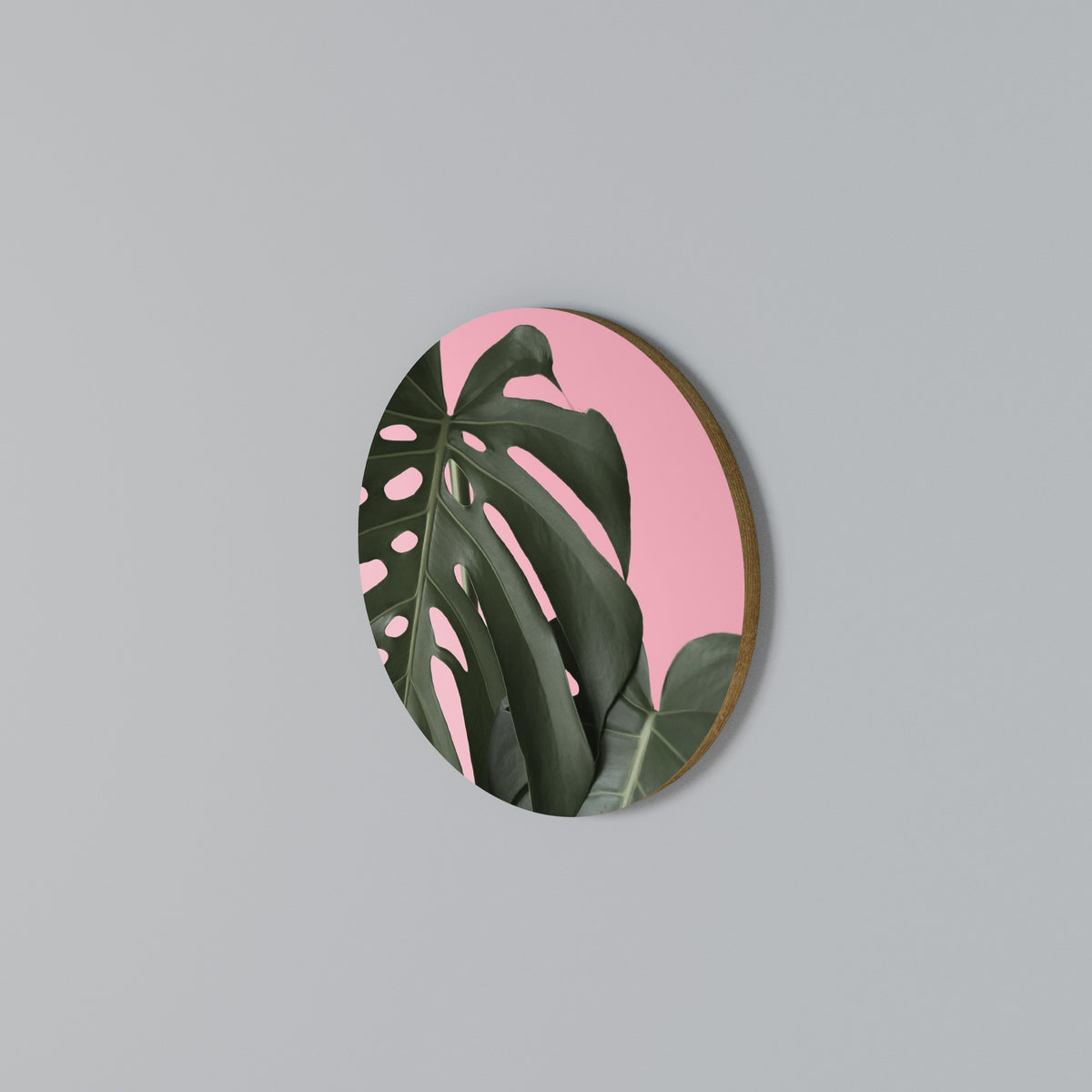LADY MONSTERA Rund väggdekor