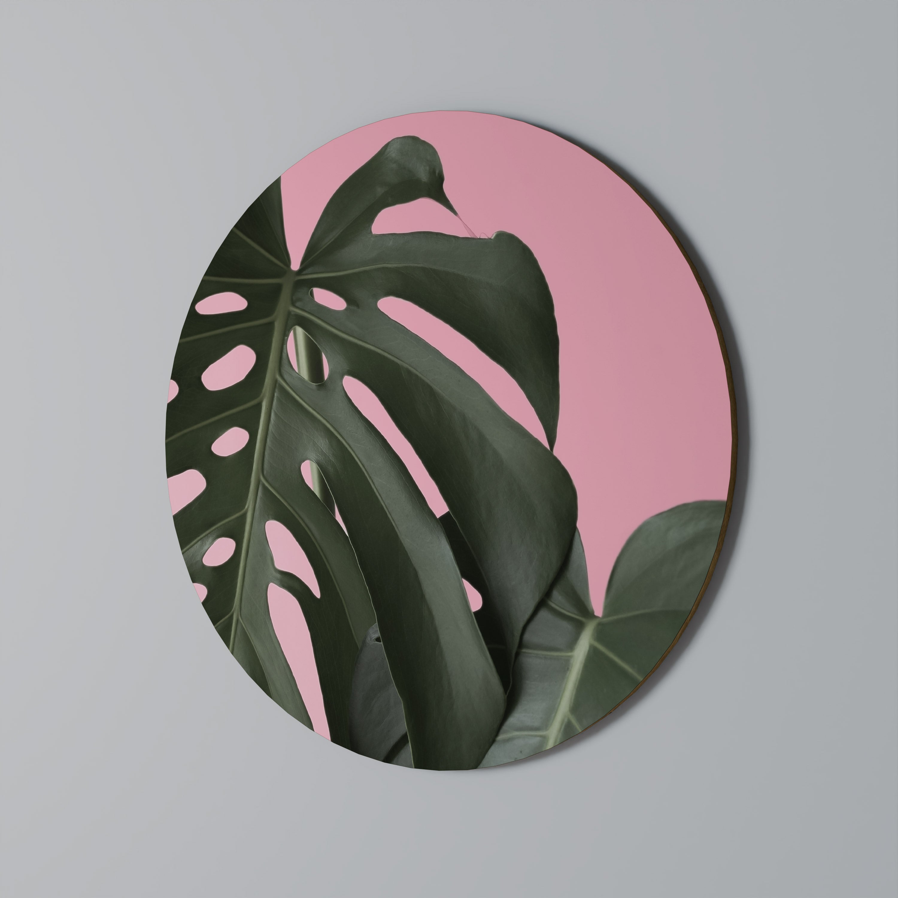 Rund väggdekoration LADY MONSTERA
