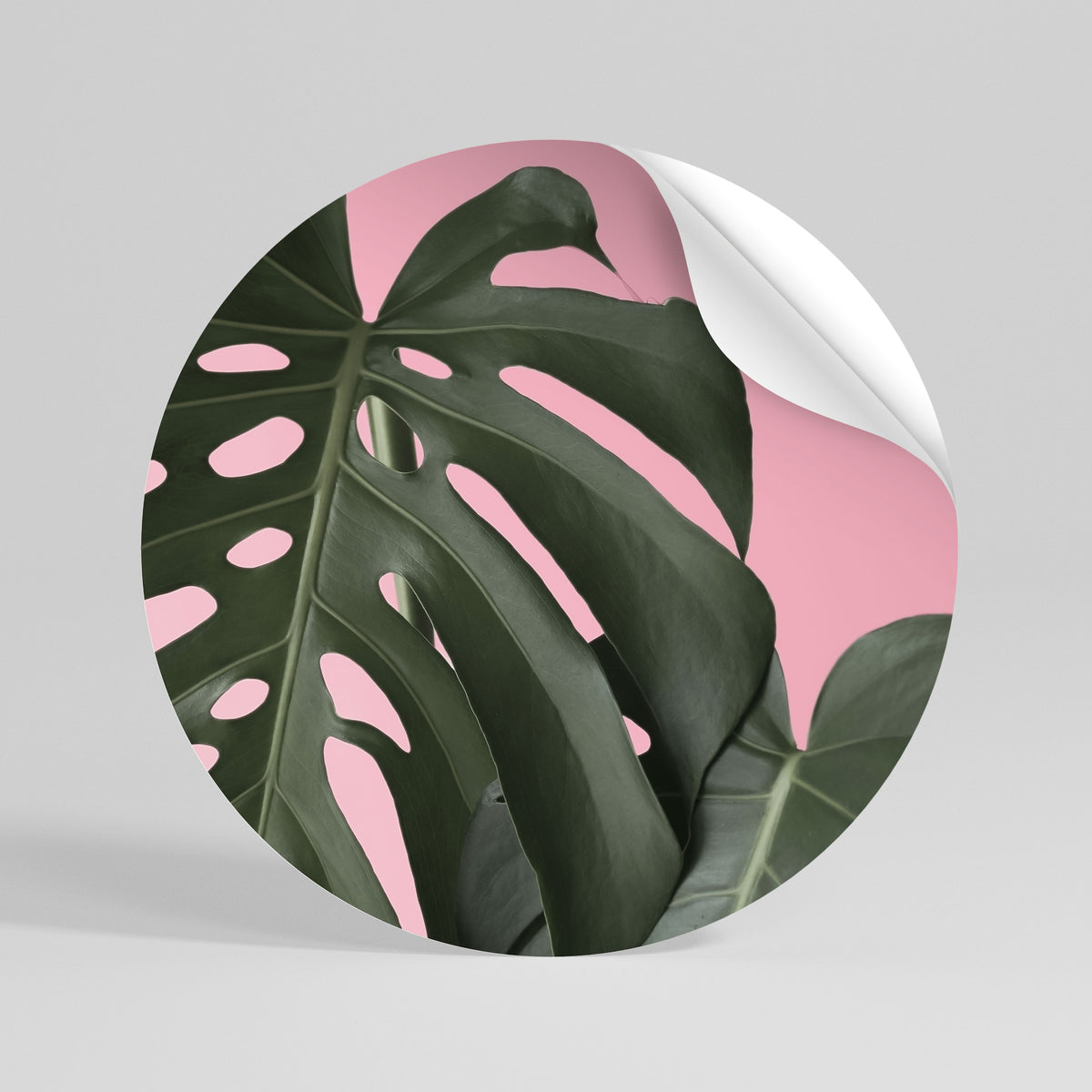 LADY MONSTERA Rund väggdekal