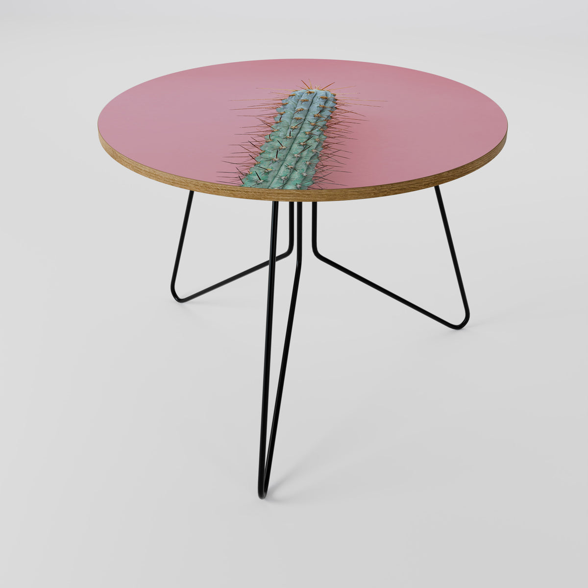 MISTER CACTUS Soffbord