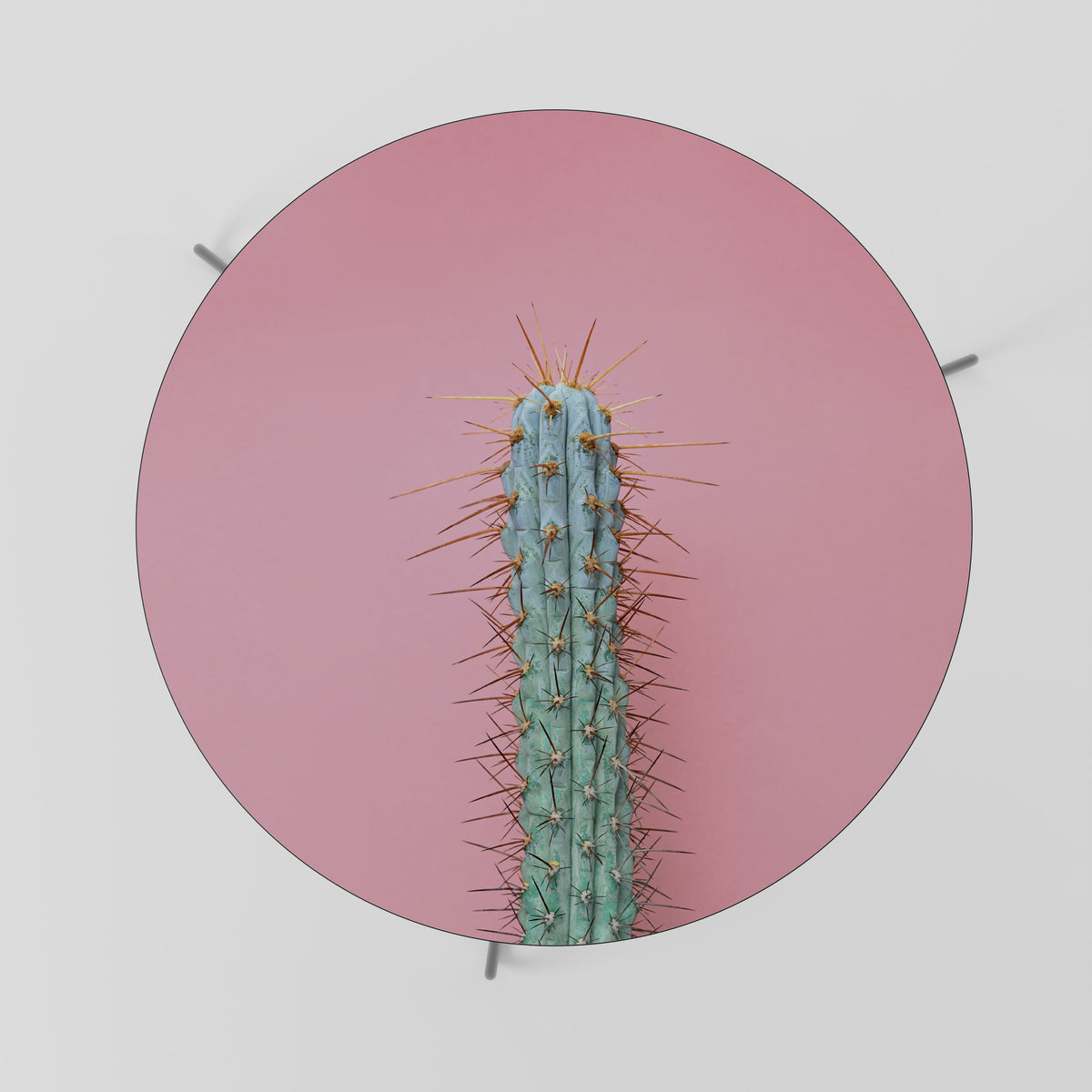 MISTER CACTUS Soffbord