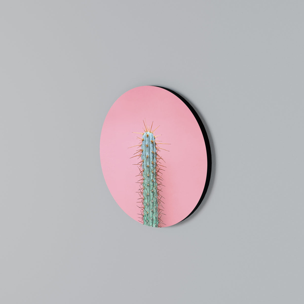 MISTER CACTUS Round Wall Art