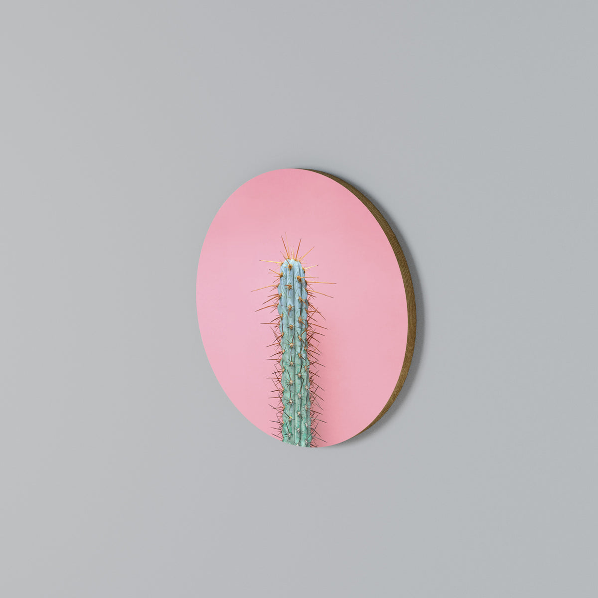 MISTER CACTUS Rund väggdekor