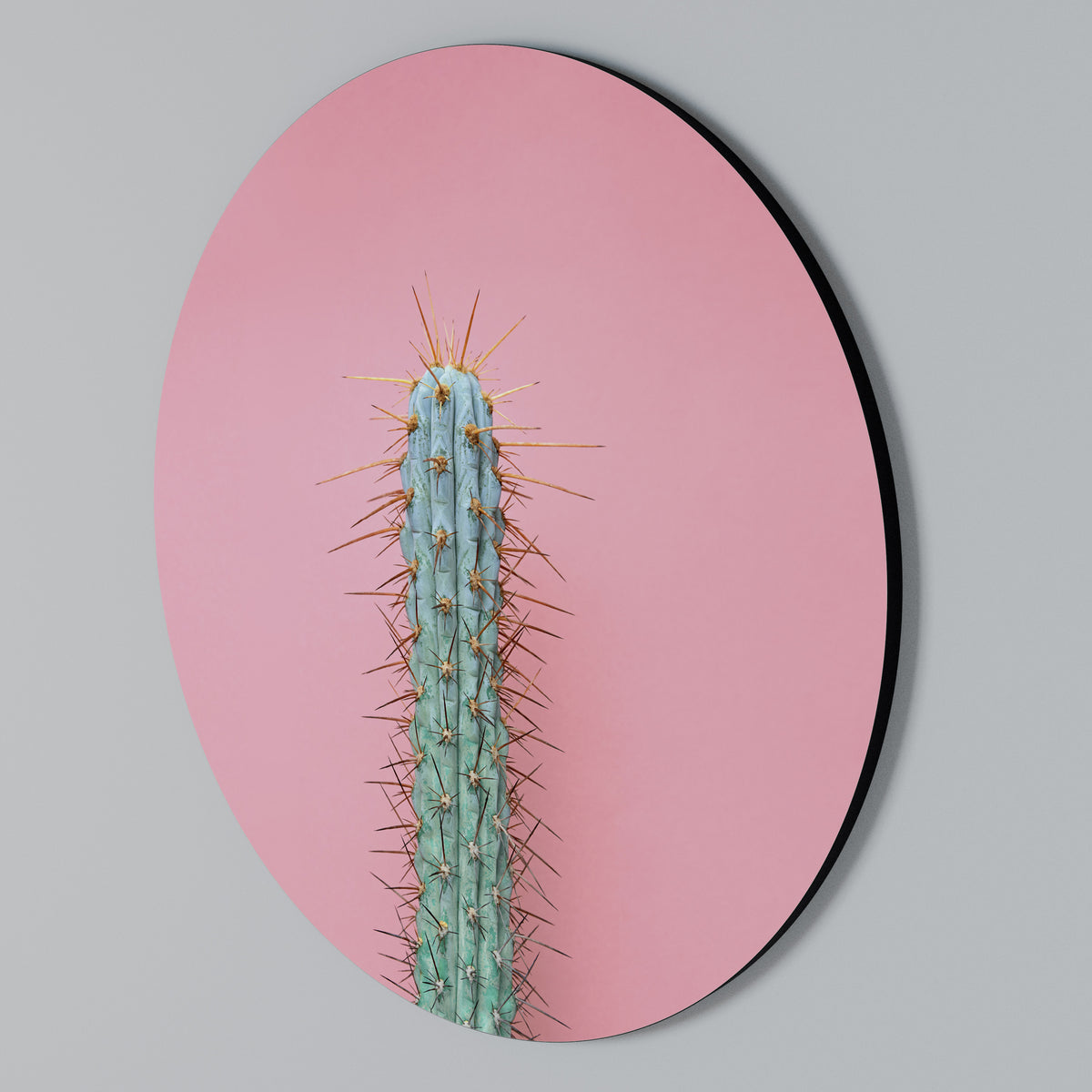 MISTER CACTUS Rund väggdekor