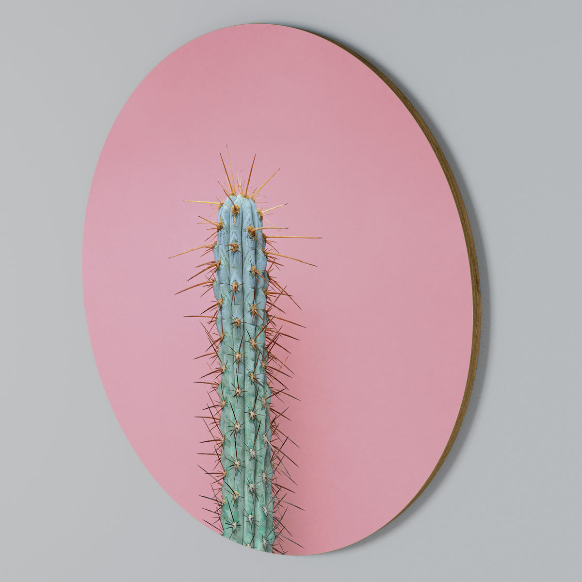 MISTER CACTUS Rund väggdekor
