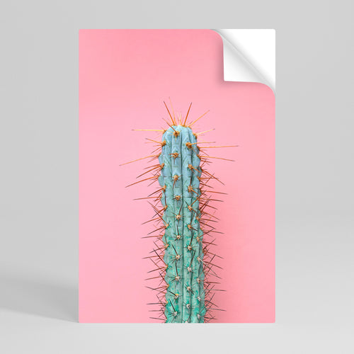 MISTER CACTUS Självhäftande Vertikal Poster