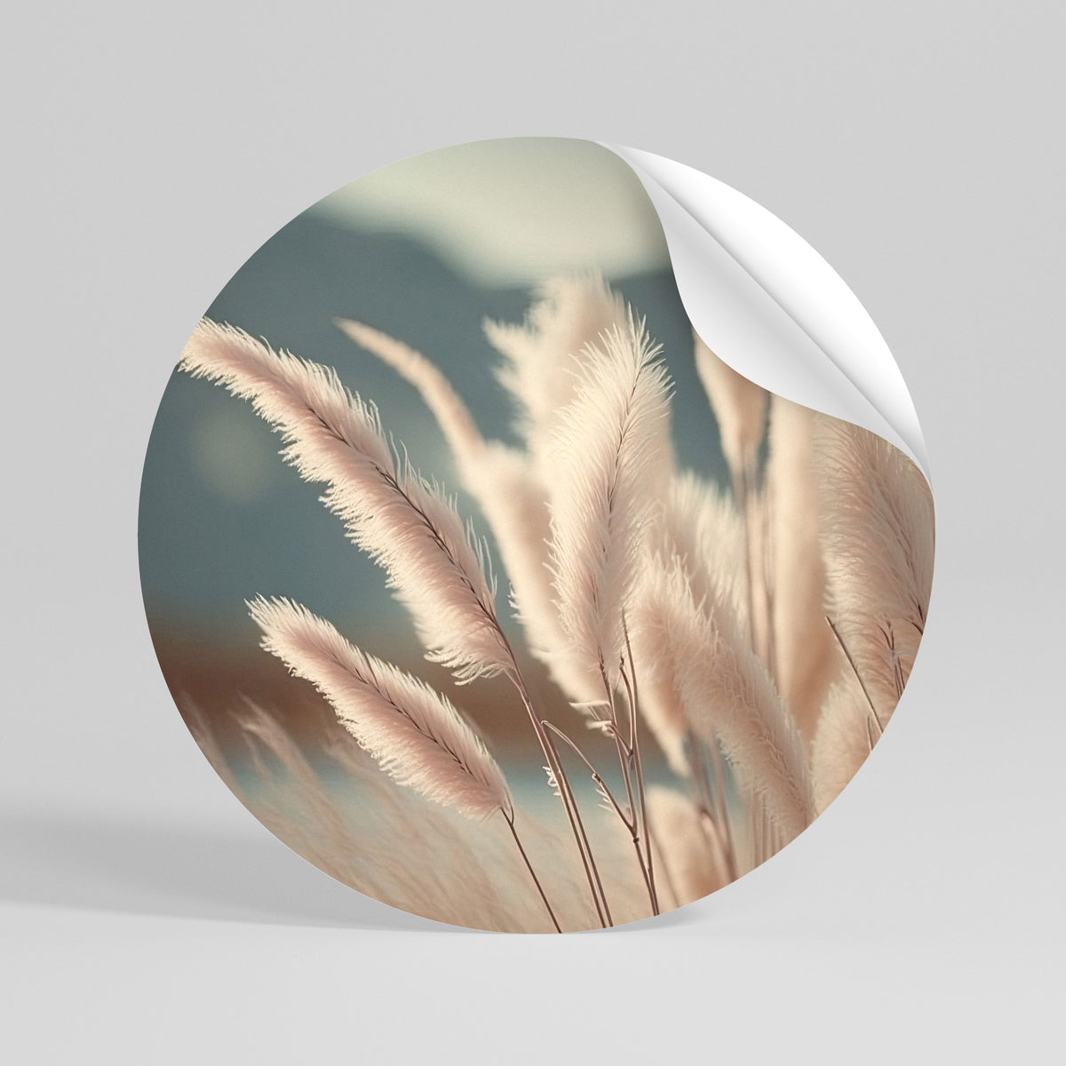 PAMPAS DREAMSCAPE Rund väggdekal