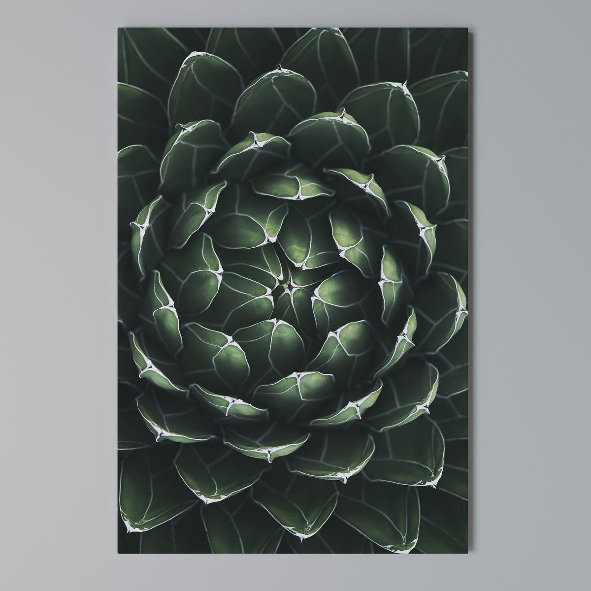 LUSH LABYRINTH Vertical Canvas Print