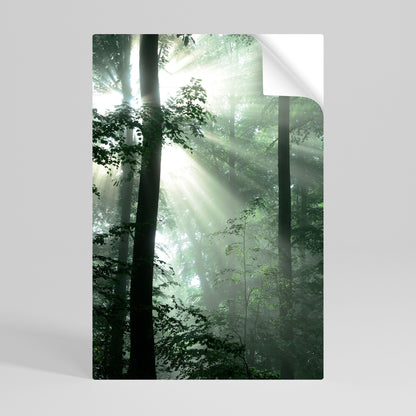 MYSTICAL SUNBEAMS vertikal poster med självhäftande text