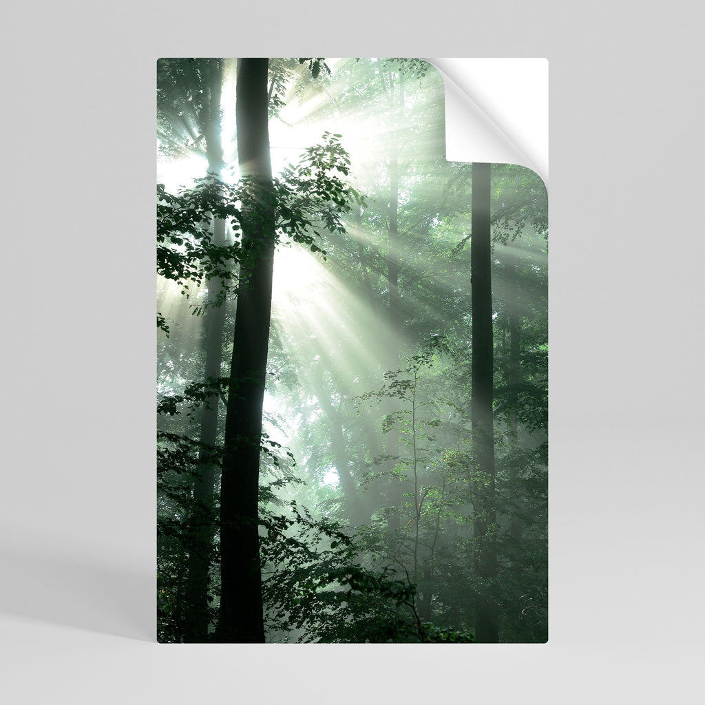 MYSTICAL SUNBEAMS vertikal poster med självhäftande text