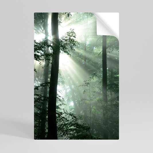 MYSTICAL SUNBEAMS vertikal poster med självhäftande text