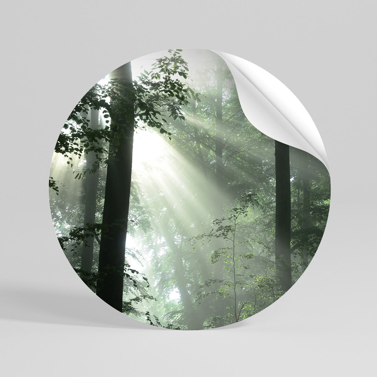 MYSTICAL SUNBEAMS Peel and Stick Round Sticker