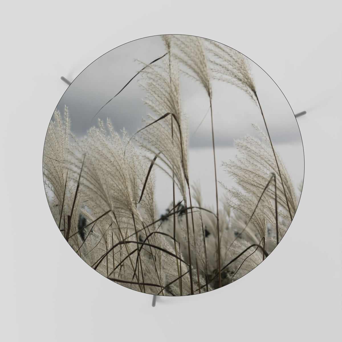 CLOUDS ABOVE GRASS Soffbord