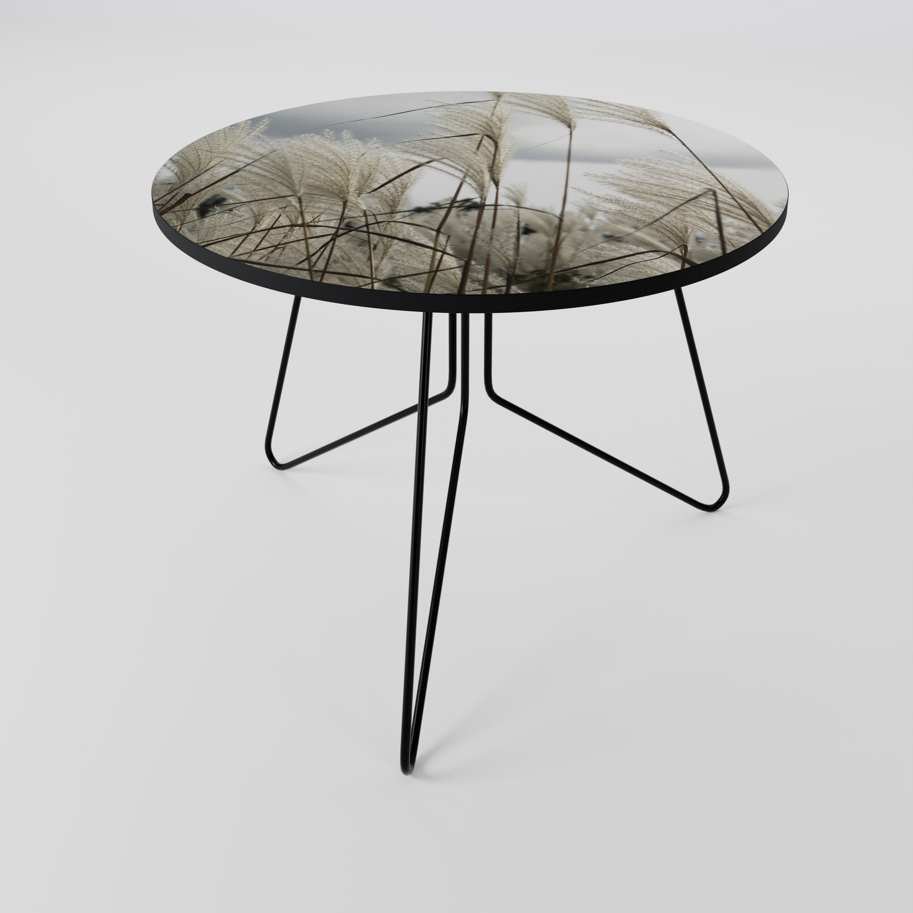 CLOUDS ABOVE GRASS Soffbord