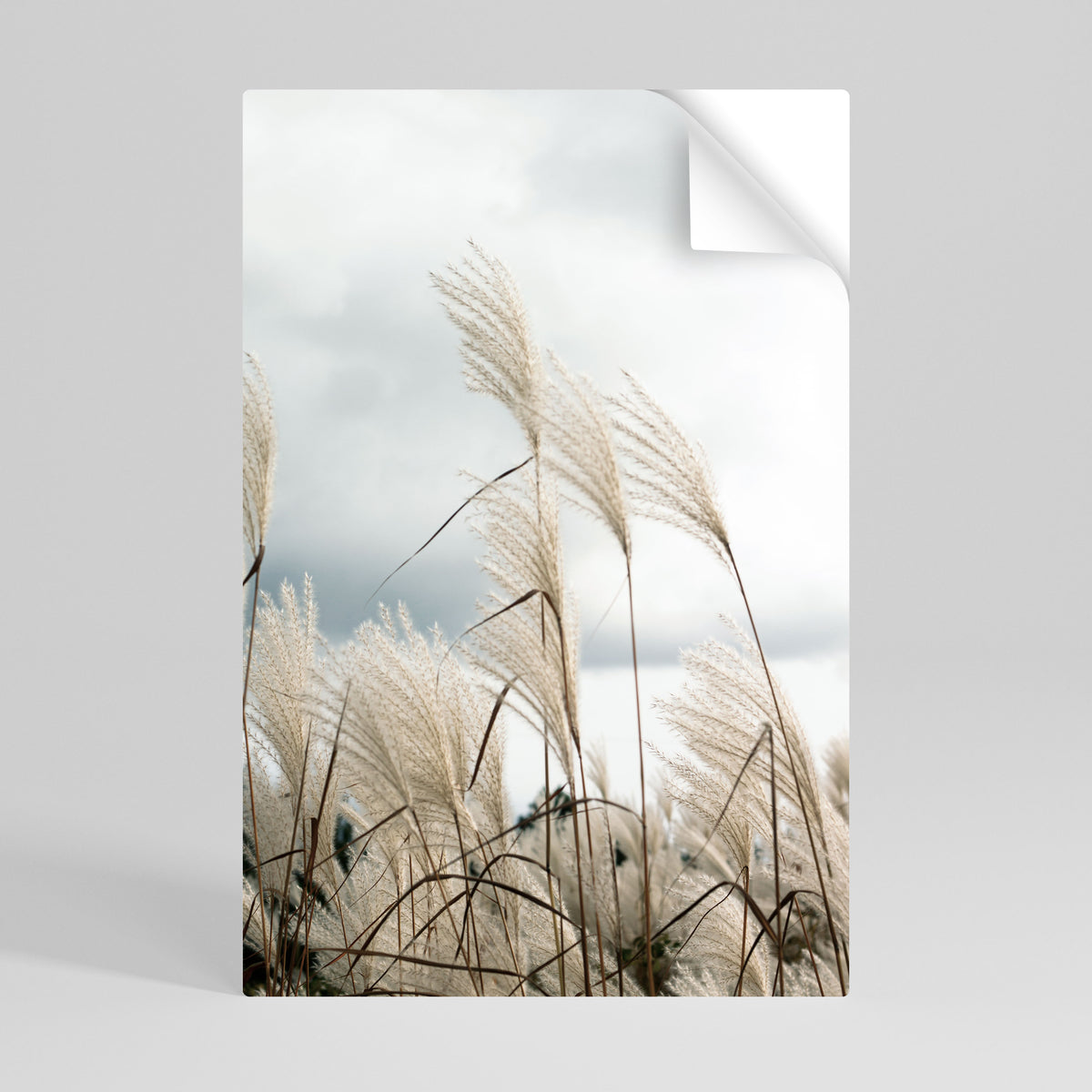 CLOUDS ABOVE GRASS Självhäftande Vertikal Poster