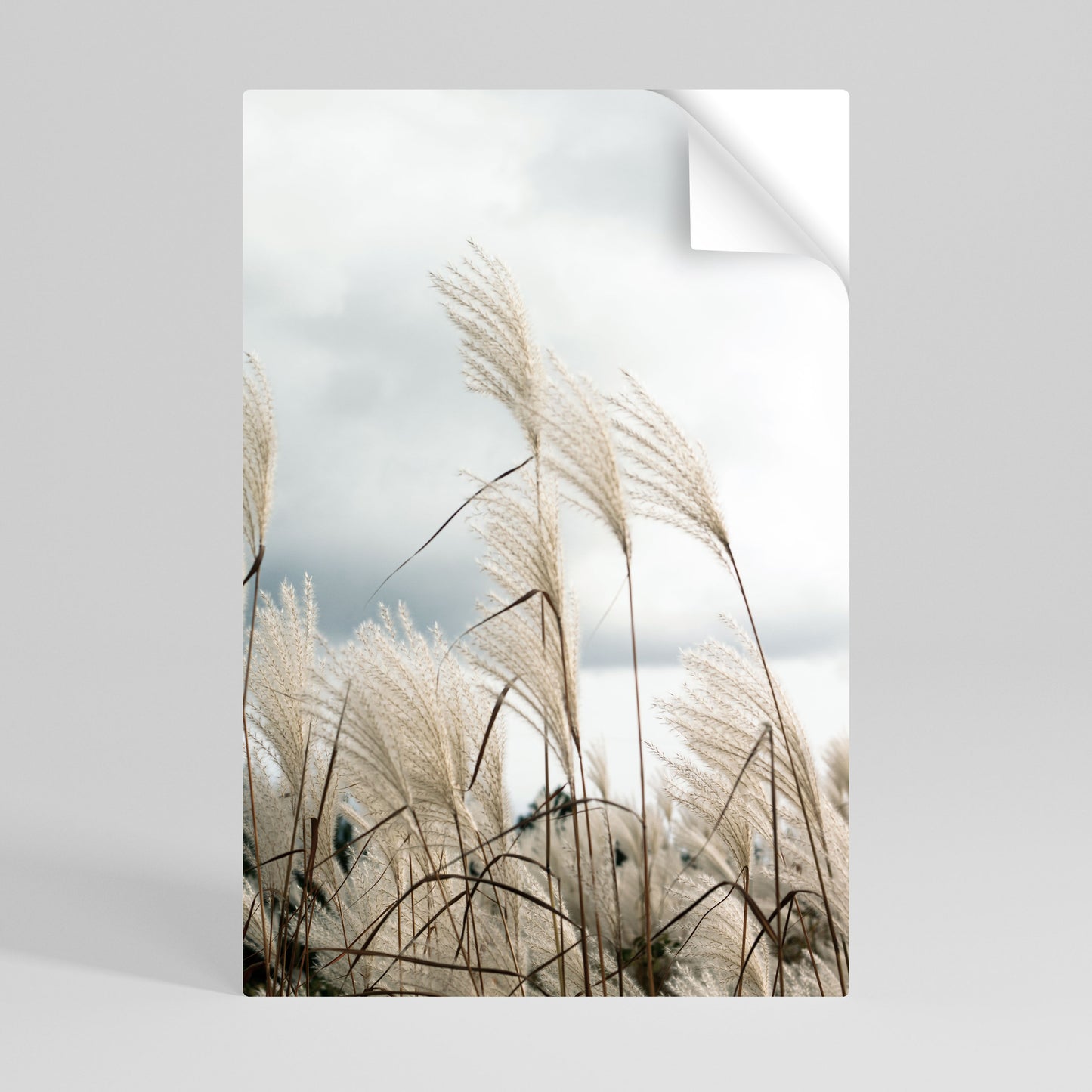 CLOUDS ABOVE GRASS Självhäftande Vertikal Poster