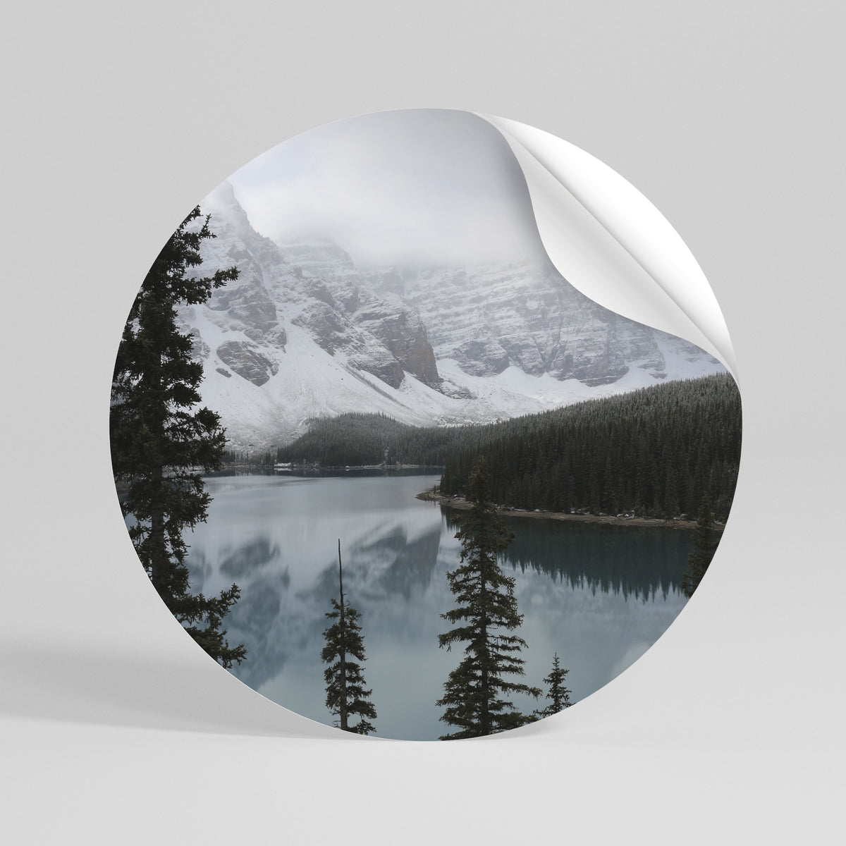 MISTY FOREST BOUNDARIES Peel and Stick Round Sticker