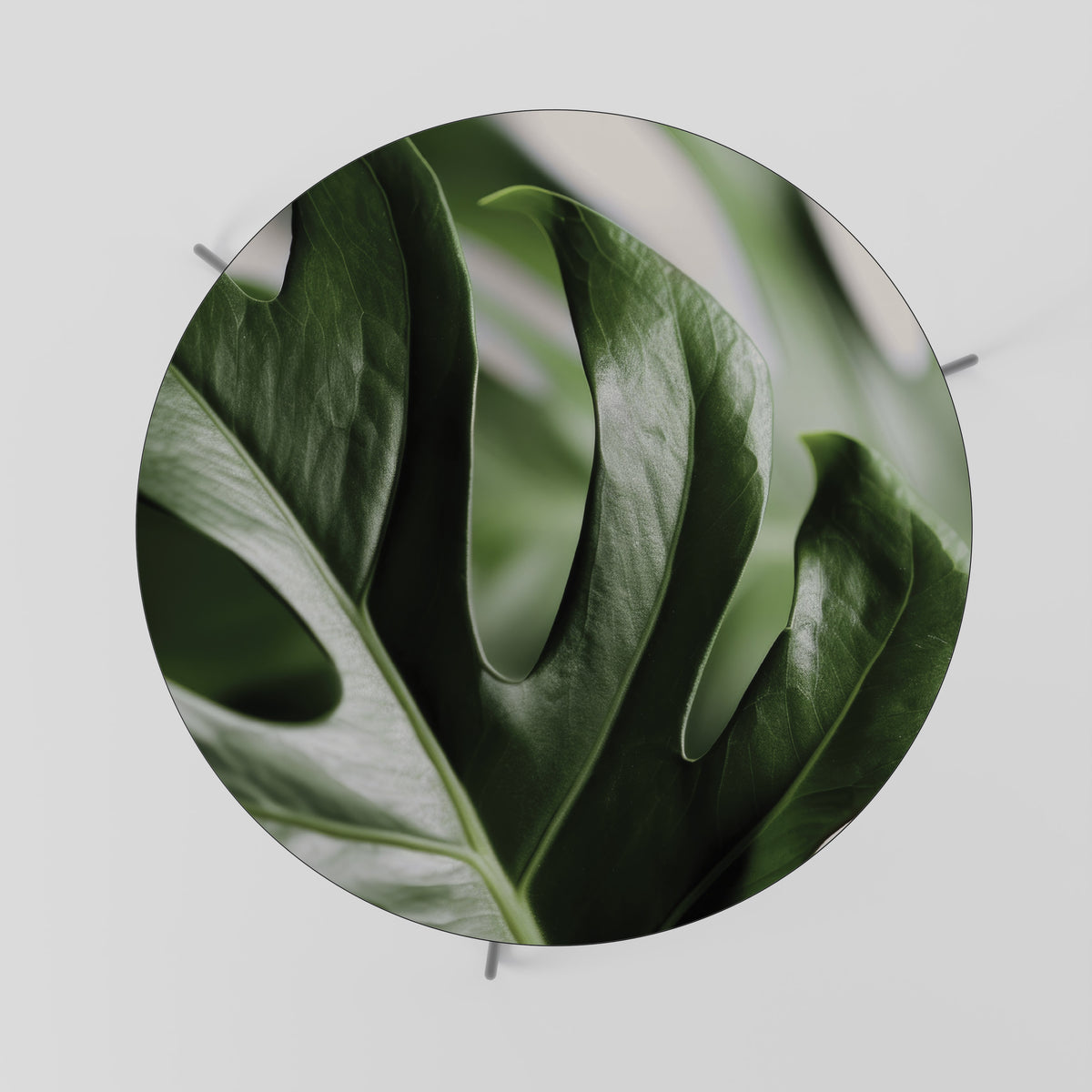 SHARP MONSTERA Soffbord