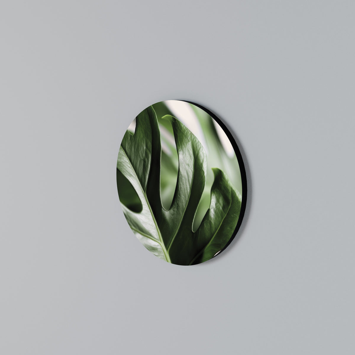 SHARP MONSTERA Rund väggdekor