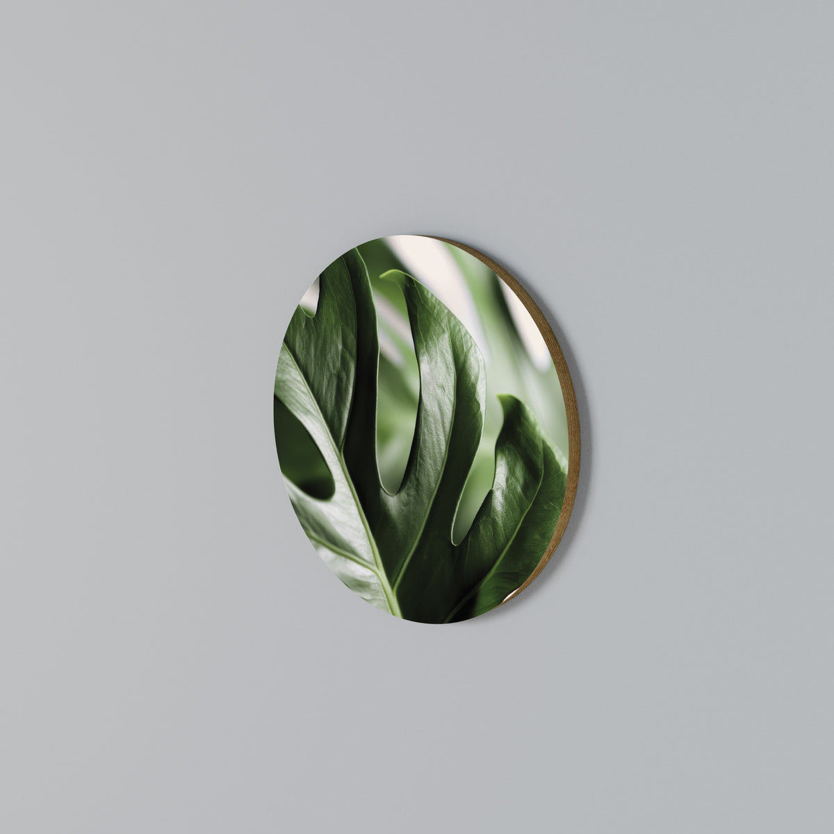 SHARP MONSTERA Rund väggdekor