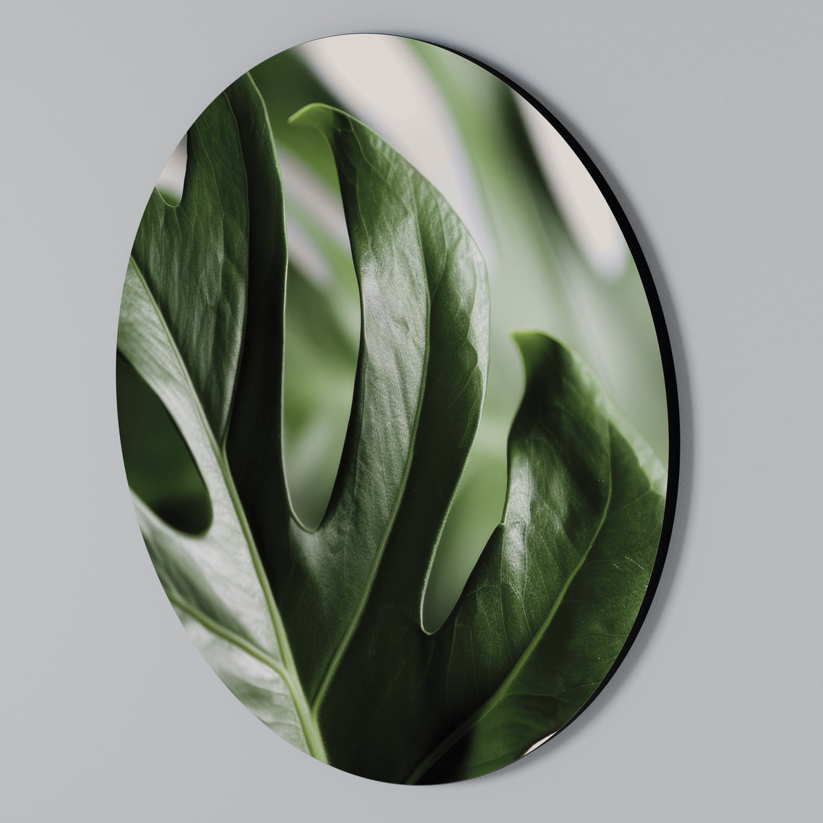 SHARP MONSTERA Rund väggdekor