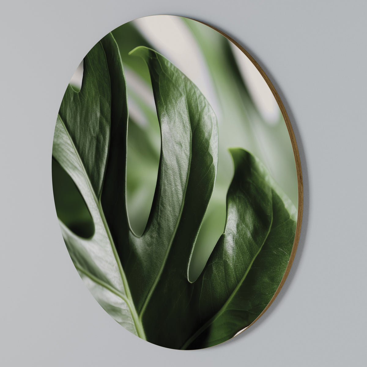 SHARP MONSTERA Rund väggdekor