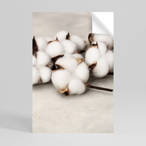 VISKNINGAR AV BOMULLSMOLN Vertikal affisch med självhäftande text