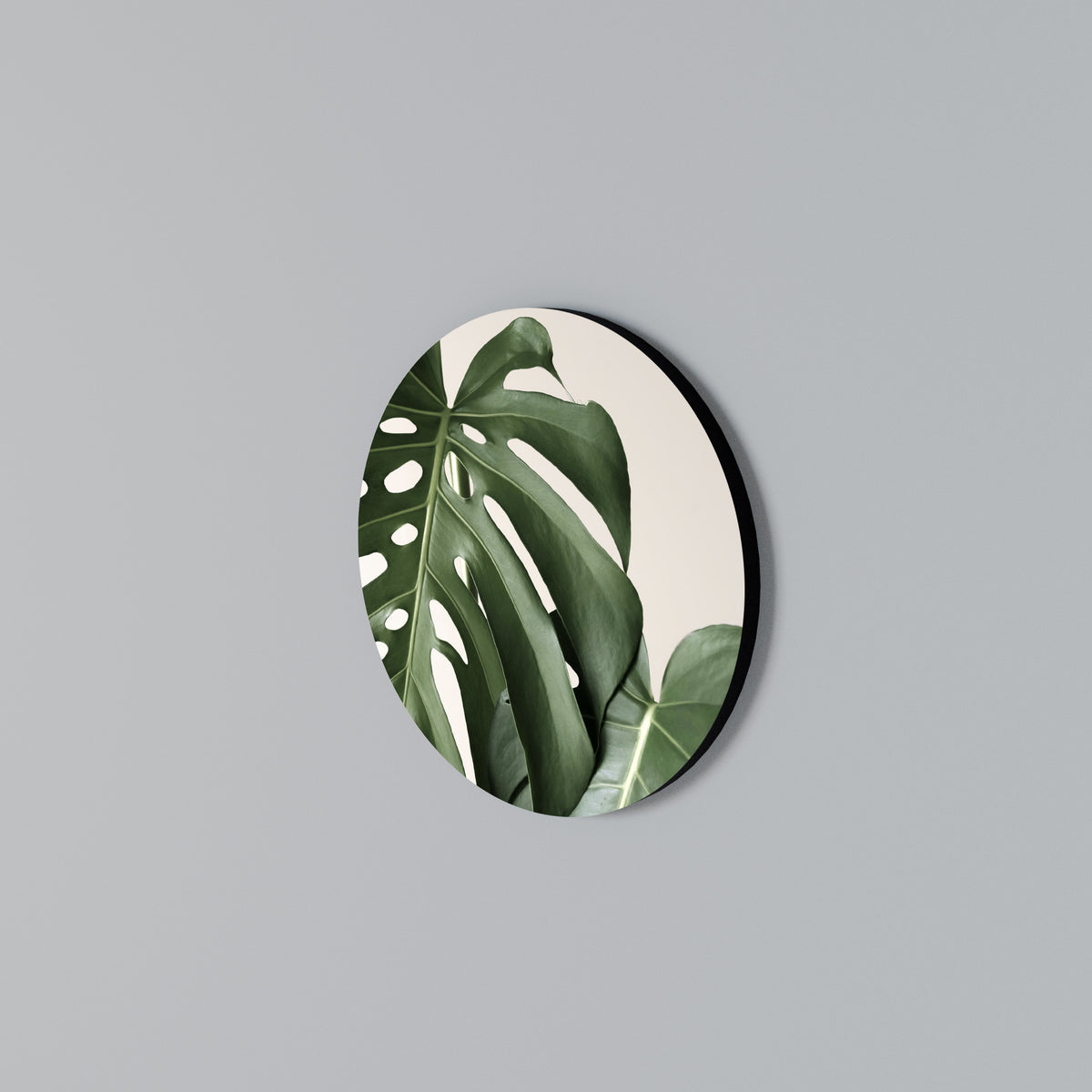 MONSTERA ACCURACY Rund väggdekor