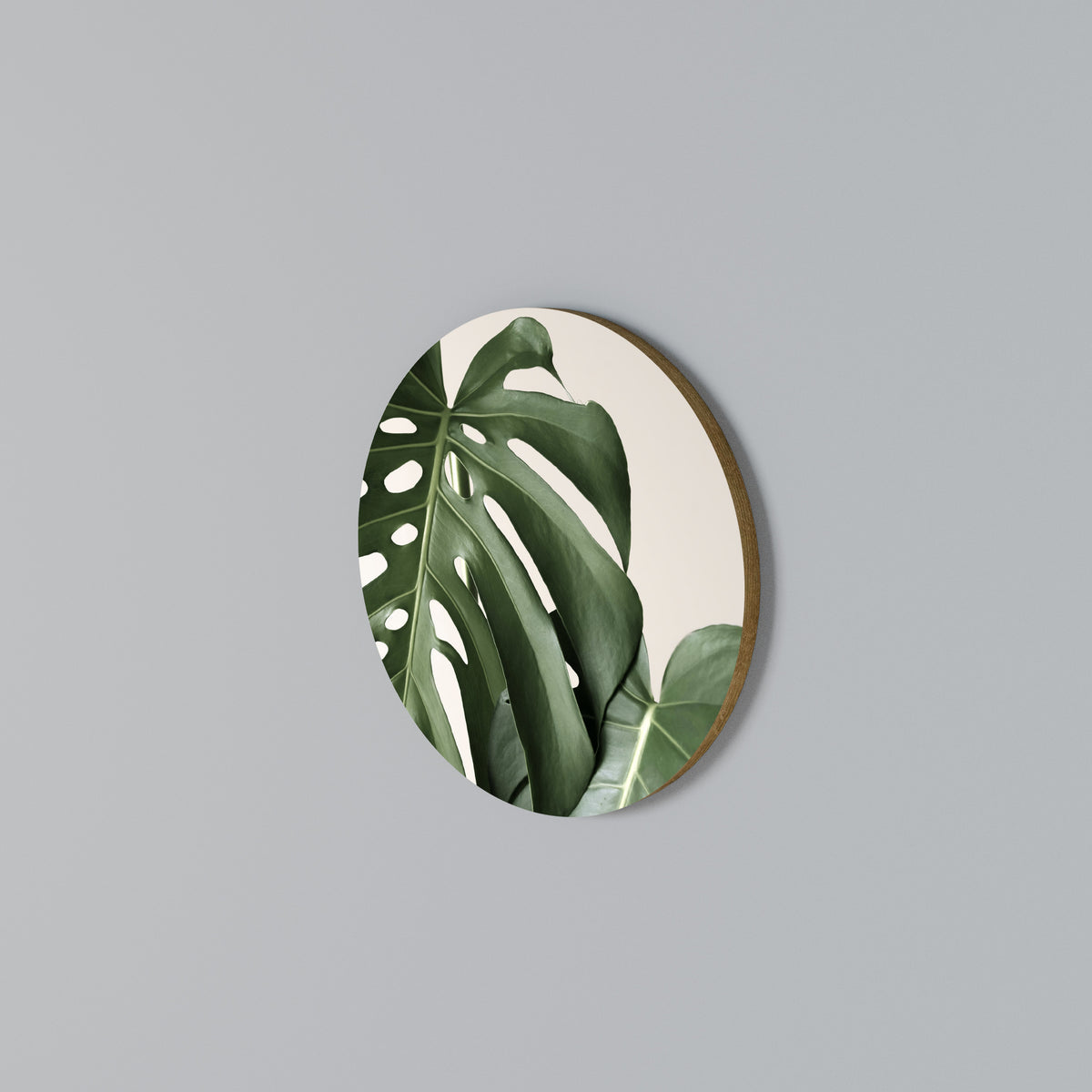 MONSTERA ACCURACY Rund väggdekor
