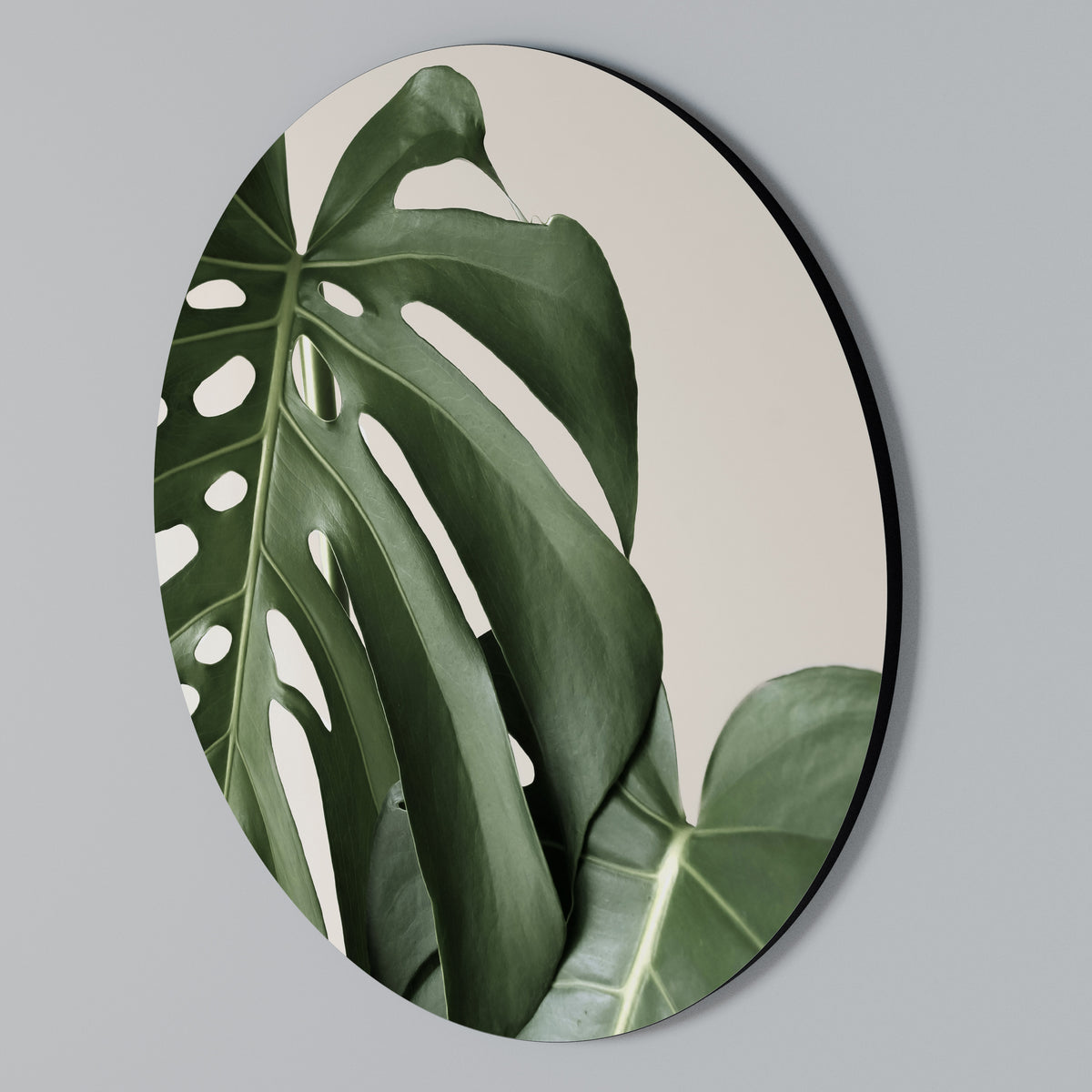 MONSTERA ACCURACY Rund väggdekor