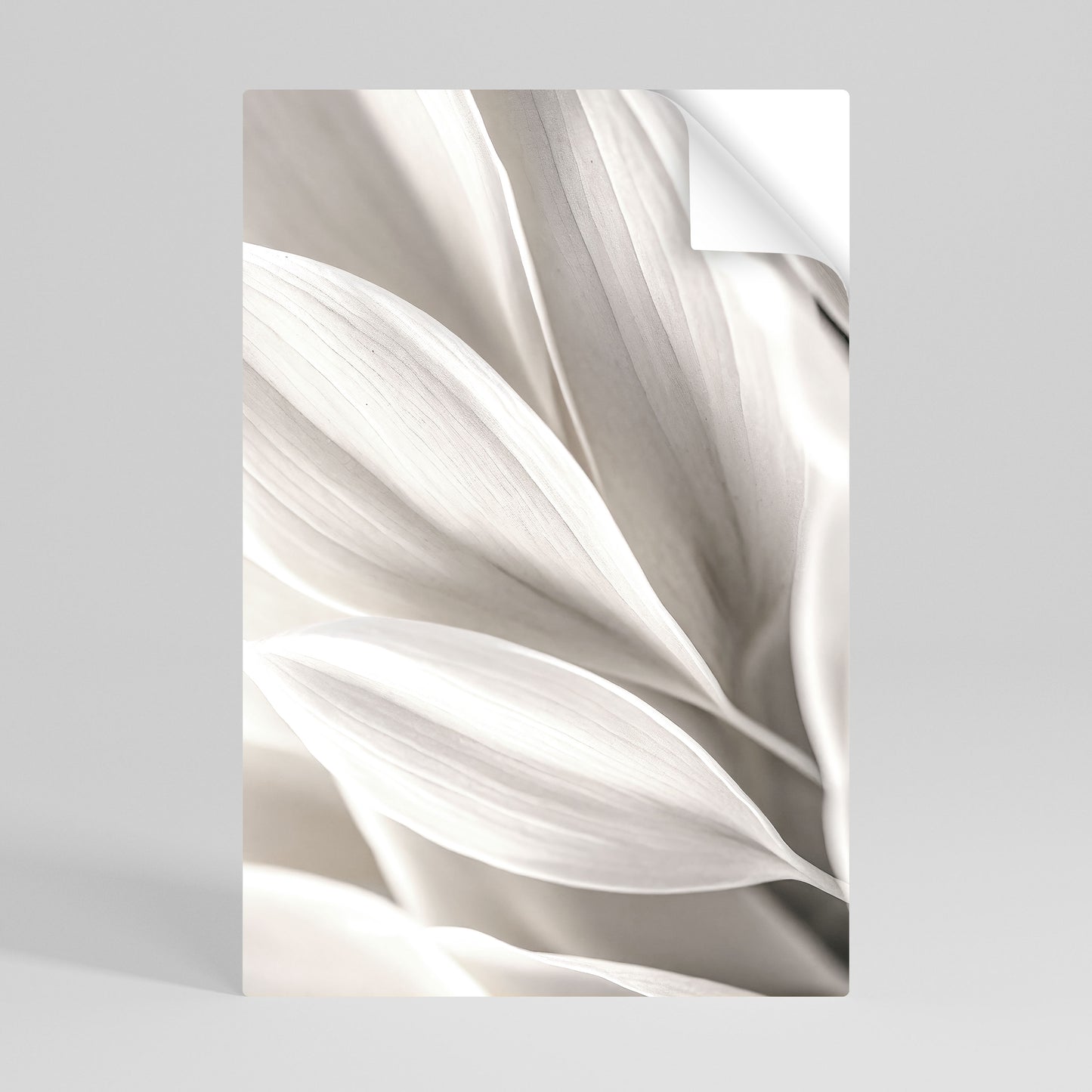 WHISPERS OF WHITE Självhäftande Vertikal Poster