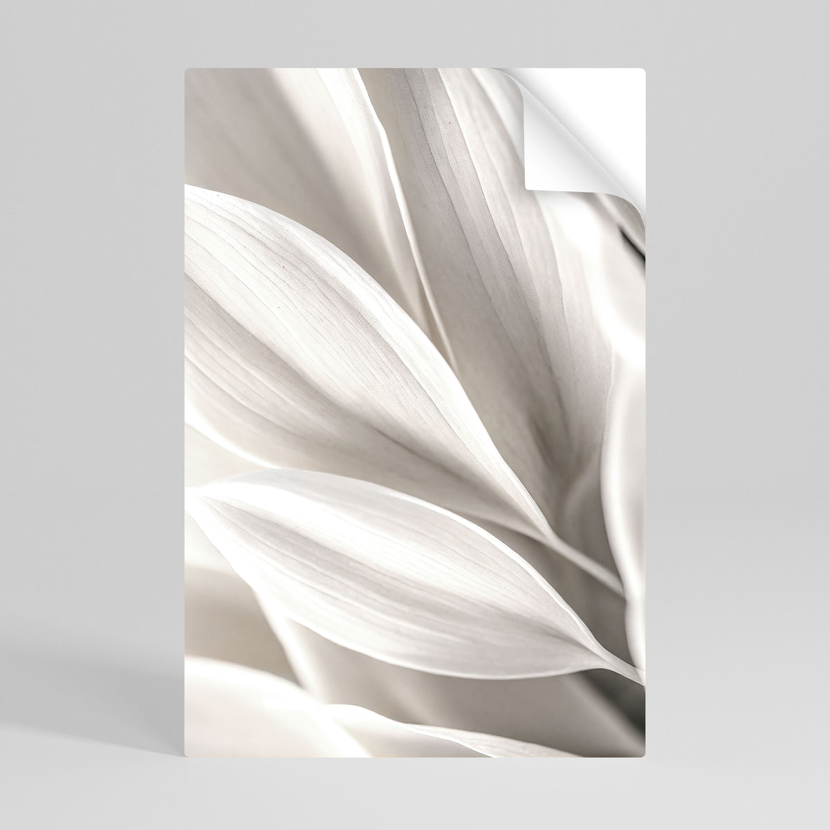 WHISPERS OF WHITE Självhäftande Vertikal Poster