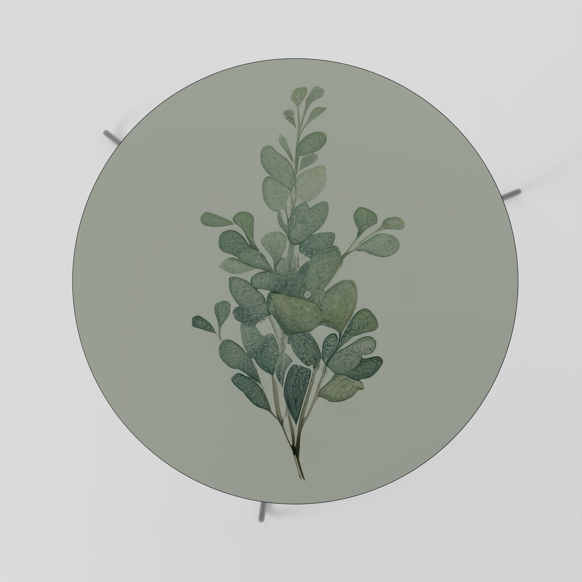 EUCALYPTUS TWIG Soffbord