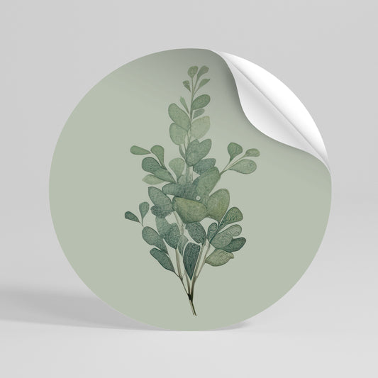 EUCALYPTUS TWIG Rund väggdekal