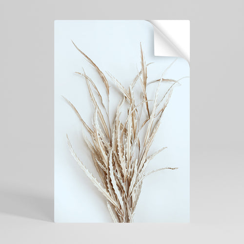 DRIED DREAMS DISPLAY Självhäftande Vertikal Poster