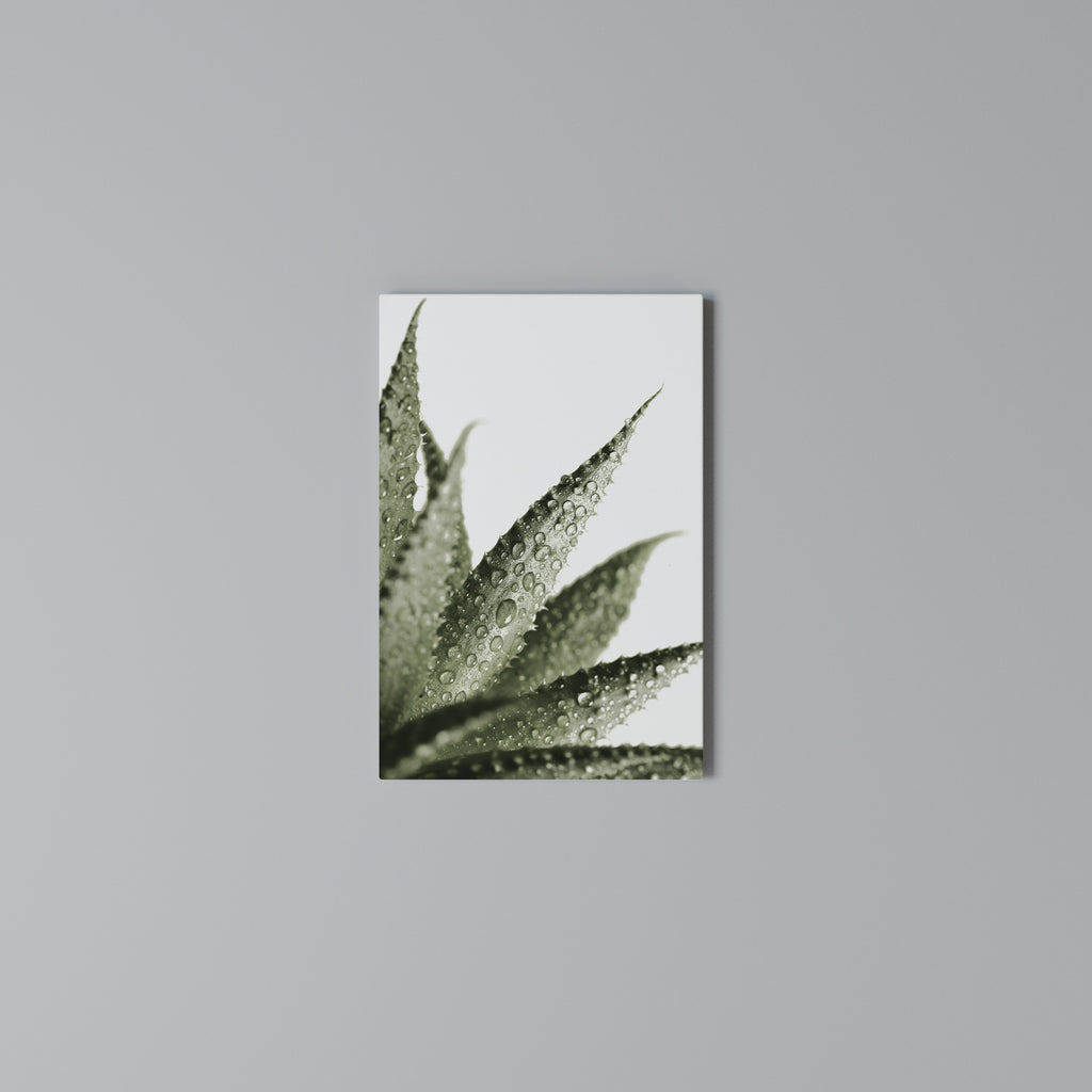 DEWDROP SYMPHONY Vertical Canvas Print