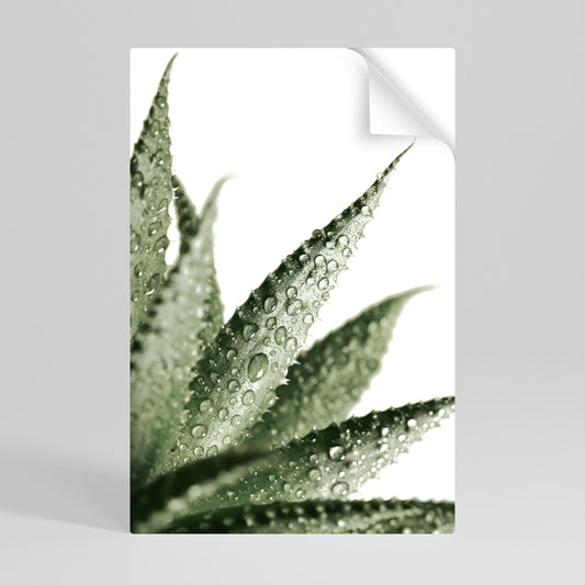 DEWDROP SYMPHONY Peel and Stick Vertical Poster
