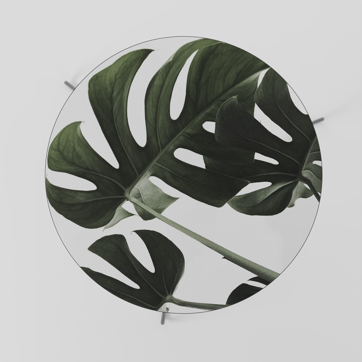 FOLIAGE FUSION Soffbord