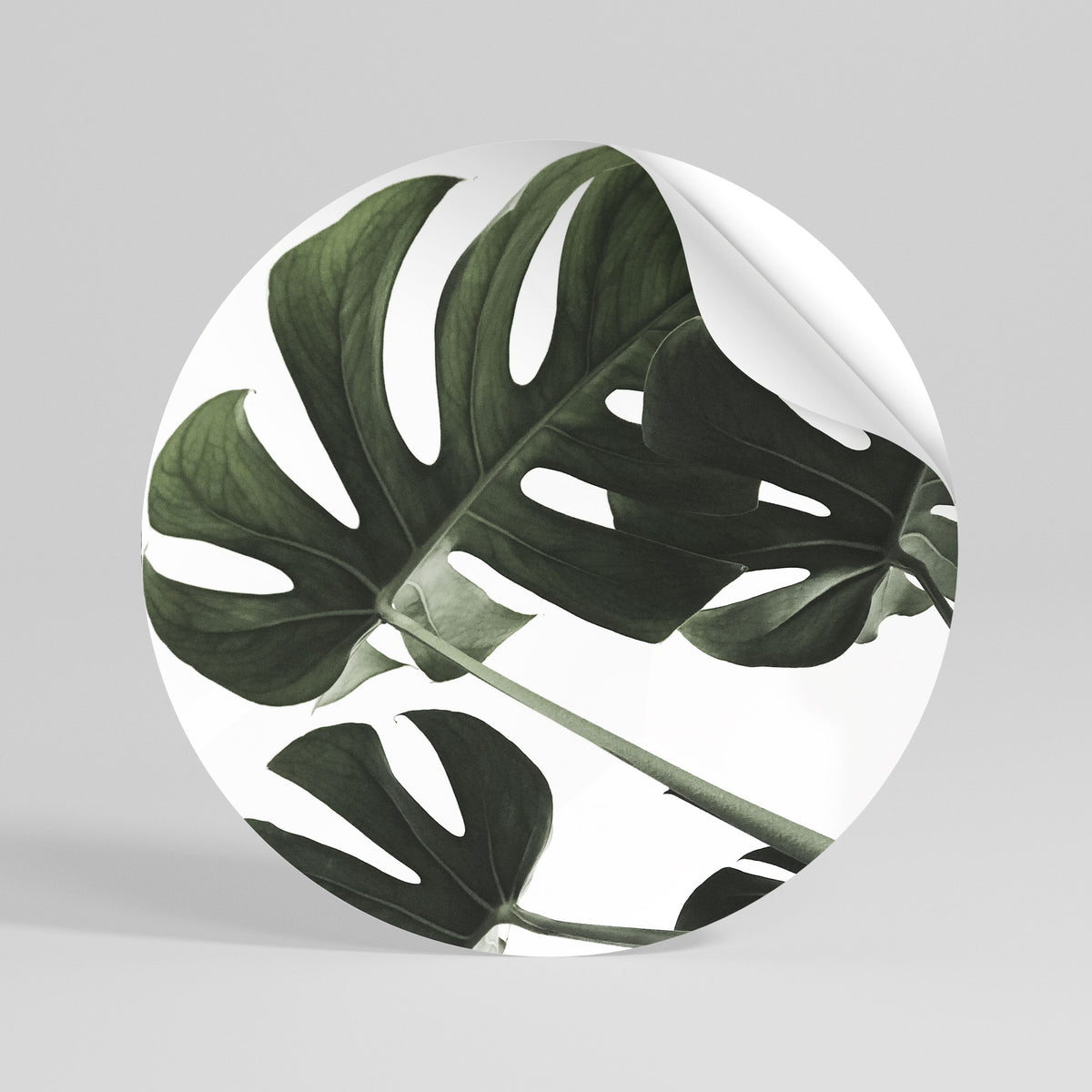 FOLIAGE FUSION Rund väggdekal