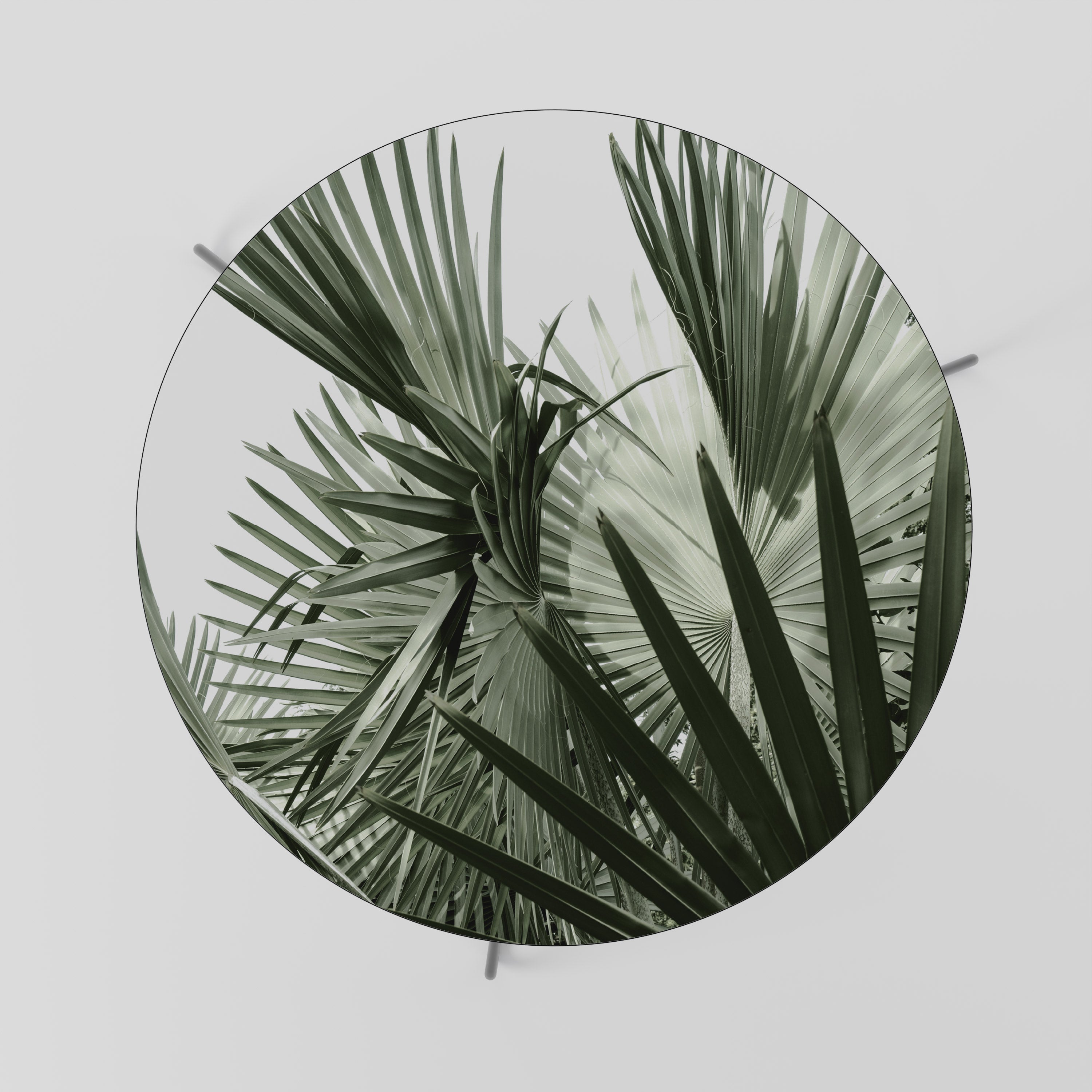 PALM PARADISE DANCE Soffbord