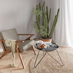 SECRET PATHWAYS UNVEILED Soffbord